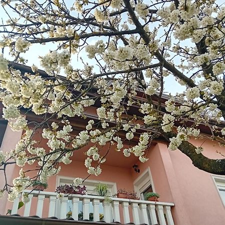 Apartman Nada Krapina Bagian luar foto