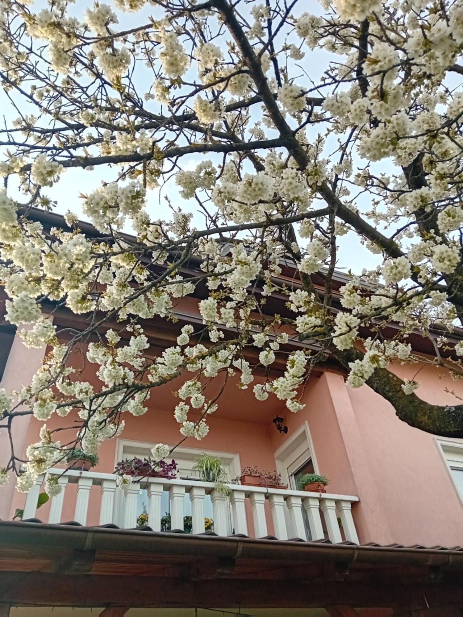 Apartman Nada Krapina Bagian luar foto